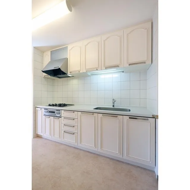 Urban Court Ichigaya - Interior - ["Cabinetry", "Countertop", "Kitchen sink"]
