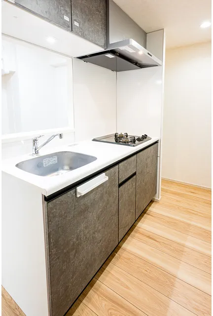 Comforia Hatagaya - Interior - ["Tap", "Countertop", "Sink"]