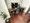Mynavi STAY Tsukishima - Interior - [] thumbnail
