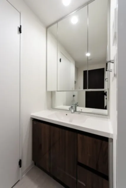 Horinouchi Mansion - Interior - ["Tap", "Cabinetry", "Sink"]