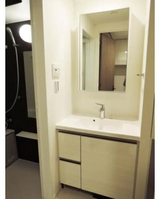 Park Axis Oshiage Terrace - Interior - ["Plumbing fixture", "Bathroom Sink", "Bathroom cabinet"]
