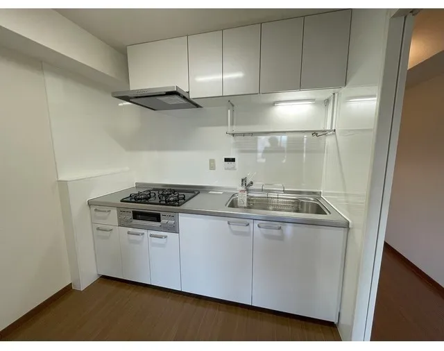 Nakagawa Flats - Interior - ["Kitchen", "Major appliance", "Kitchen Sink"]