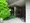 Owl Square - Exterior - ["Conifers", "Houseplant", "Evergreen"] thumbnail