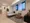 The Park Habio Ichigaya East - Interior - ["Interior design", "Flooring", "Floor"] thumbnail
