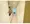 LEXE Bunkyo Hakusan - Interior - ["Flooring", "Floor", "Apartment"] thumbnail