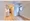 Lefon Progres Akabane Marks - Interior - ["Apartment", "Wood flooring", "Hardwood"] thumbnail