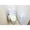 Commodore Kaminarimon - Interior - ["Plumbing fixture", "Toilet seat", "Toilet"] thumbnail