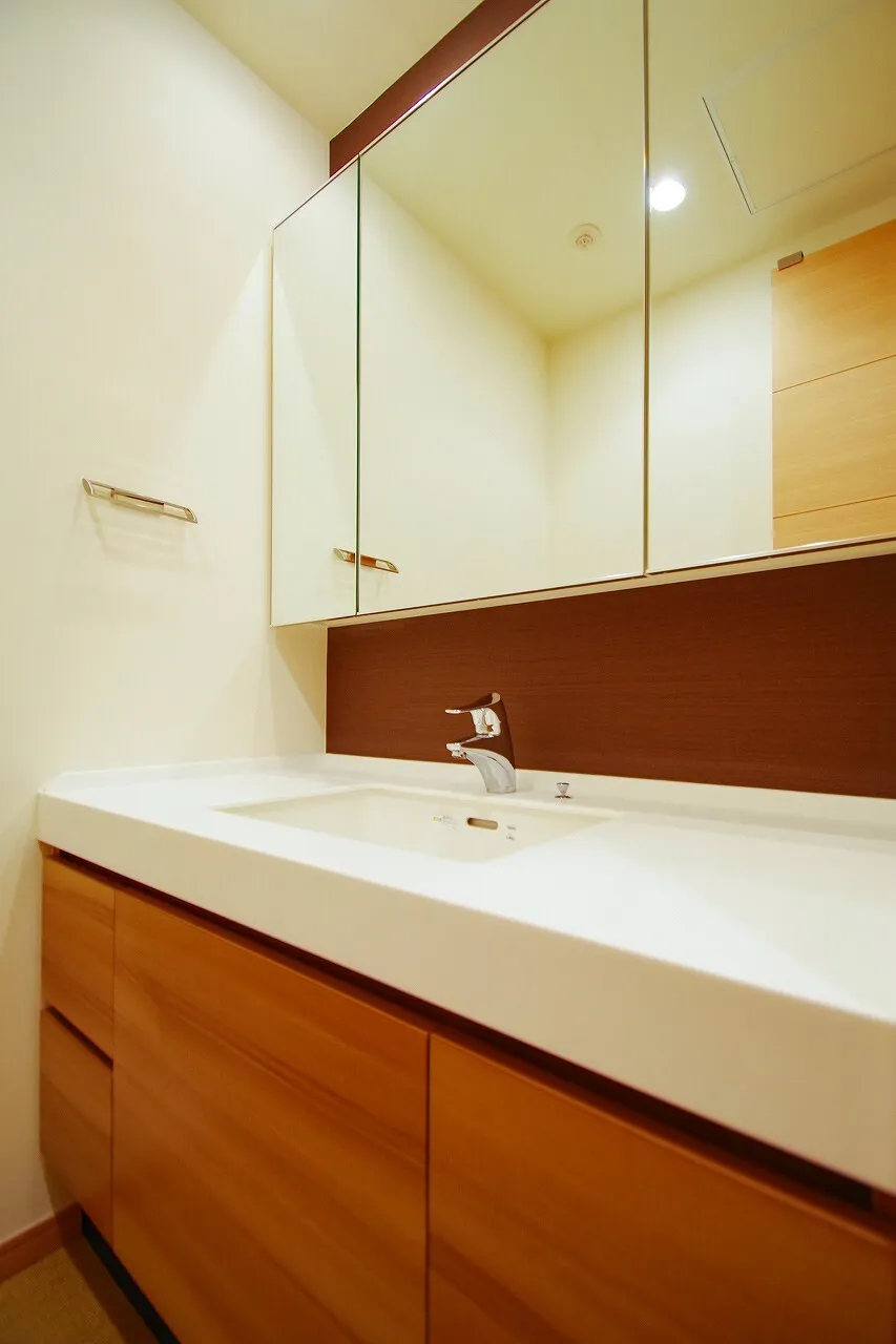 La Tour Shinjuku Grand - Interior - ["Brown", "Cabinetry", "Mirror"]
