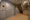 Hmlet Shinjuku Kawadacho - Exterior - [] thumbnail