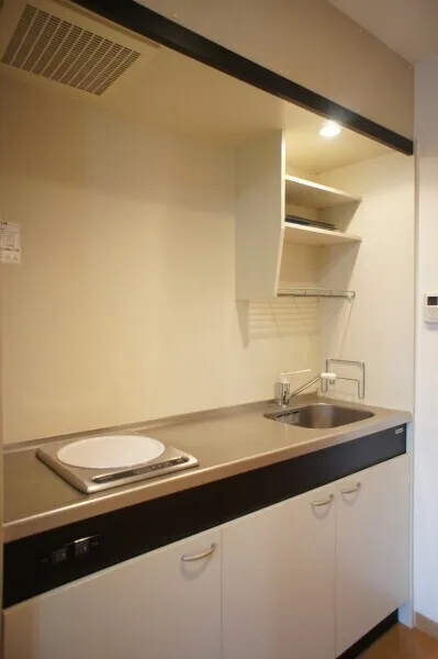 Sereno Shinagawa - Interior - ["Plumbing fixture", "Sink", "Kitchen Sink"]