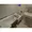 Ipse Gakugei Daigaku - Interior - ["Plumbing fixture", "Tap", "Property"] thumbnail