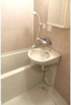 Phoenix Shiba Astrale - Interior - ["Plumbing fixture", "Bathroom", "Flooring"]