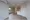 Composite Shinagawa Kanekoyama - Interior - ["Apartment", "Ceiling", "Floor"] thumbnail