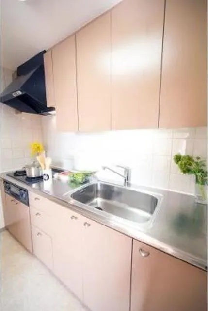 Flat Hamadayama - Interior - ["Tap", "Kitchen sink", "Sink"]