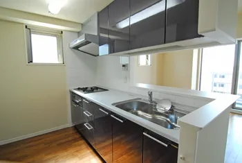 Esty Maison Toyosu Residence - Interior - ["Tap", "Kitchen sink", "Cabinetry"]