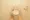 Primal Koishikawa - Interior - ["Toilet seat", "Toilet", "Plumbing fixture"] thumbnail