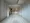 Lumiec Kinshicho - Interior - ["Flooring", "Floor", "Wood"] thumbnail