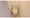 Comforia Higashinakano - Interior - ["Toilet seat", "Toilet", "Plumbing fixture"] thumbnail