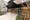La Douceur Sugamo West - Exterior - ["Plant", "Building", "Fixture"] thumbnail
