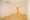 Esty Maison Toyosu Residence - Interior - ["Flooring", "Floor", "Wood flooring"] thumbnail