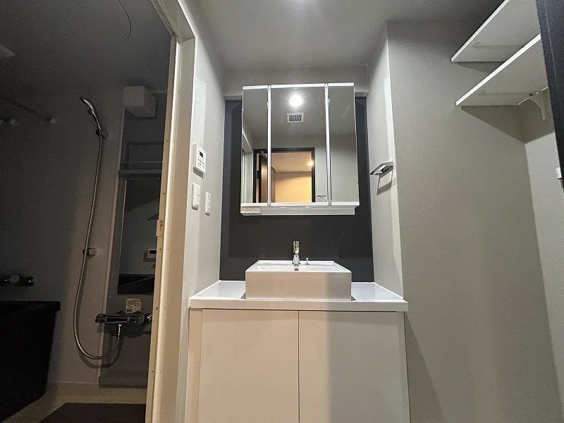 Shiba Park Apartment - Interior - ["Mirror", "Tap", "Sink"]