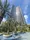 Park Tower Kachidoki South - Exterior - ["Condominium", "High-rise building", "Palm trees"] thumbnail