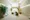 Comforia Shibaura Bauhaus - Exterior - ["Plant", "Property", "Houseplant"] thumbnail