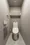 Terra Silk Forest - Interior - ["Toilet seat", "Toilet", "Flooring"] thumbnail