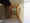 Castalia Togoshi Station Square - Interior - ["Wall", "Flooring", "Wood"] thumbnail