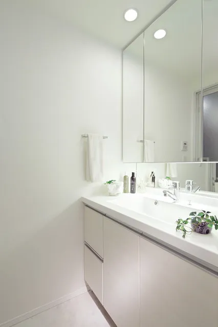 Comforia Akasaka - Interior - ["Mirror", "Bathroom cabinet", "Sink"]