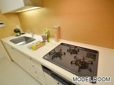 IS Heights - Interior - ["Tap", "Countertop", "Cabinetry"]