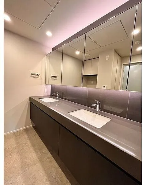 The Parkhouse Chiyoda Rokubancho - Interior - ["Bathroom Sink", "Interior design", "Flooring"]