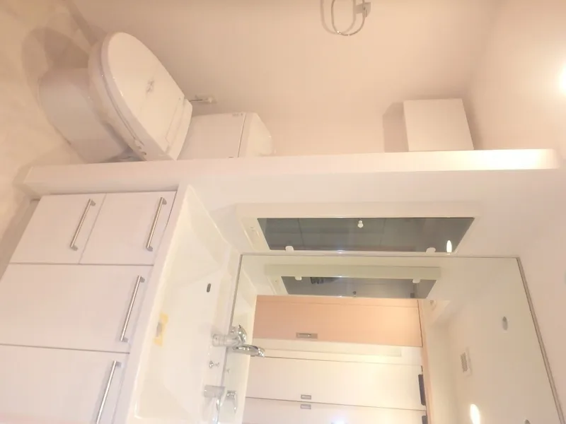 Esty Maison Toyosu Residence - Interior - ["Wall", "Bathroom Sink", "Wood"]