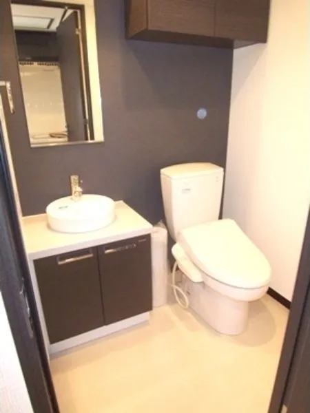 Premium Minowa - Interior - ["Toilet seat", "Plumbing fixture", "Bathroom Sink"]