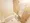 Mynavi STAY Tsukishima - Interior - [] thumbnail