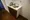 RESIDIA Kameido - Interior - ["Floor", "Apartment", "Wood flooring"] thumbnail