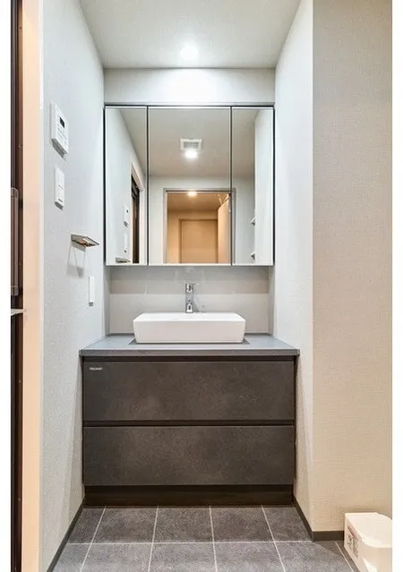 Comforia Liv Hatchobori - Interior - ["Flooring", "Bathroom Sink", "Bathroom cabinet"]