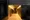 ASTILE Nishi-Shinjuku II - Exterior - ["Rectangle", "Building", "Flooring"] thumbnail