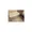 Comforia Akasaka - Interior - ["Office supplies", "Office equipment", "Rectangle"] thumbnail