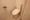 Atrio Flats Nakano Arai Yakushi - Interior - ["Toilet seat", "Toilet", "Bathroom"] thumbnail