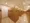 Shinagawa Prince Residence - Other - ["Flooring", "Wood", "Floor"] thumbnail