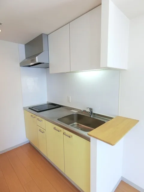 HOUSE Iwamotocho - Interior - ["Kitchen", "Kitchen Sink", "Sink"]