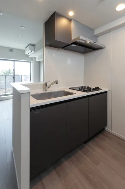 Terra Silk Forest - Interior - ["Kitchen", "Apartment", "Ceiling"]