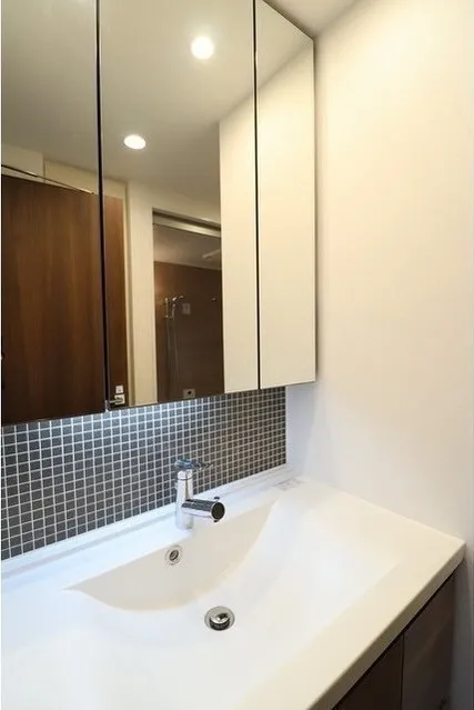 Lugente Bunkyo Todaimae - Interior - ["Brown", "Mirror", "Tap"]