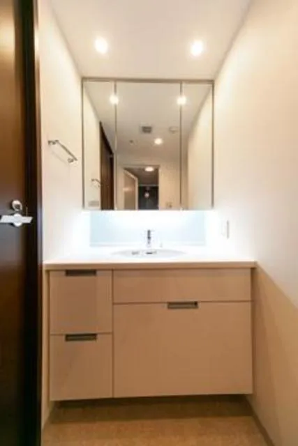 Tomigaya Springs - Interior - ["Mirror", "Bathroom cabinet", "Cabinetry"]