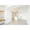 Comforia Nishiogikubo - Interior - ["Property", "Window", "Building"] thumbnail