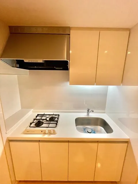 Residia Nishi Azabu - Interior - ["Brown", "Cabinetry", "Kitchen sink"]