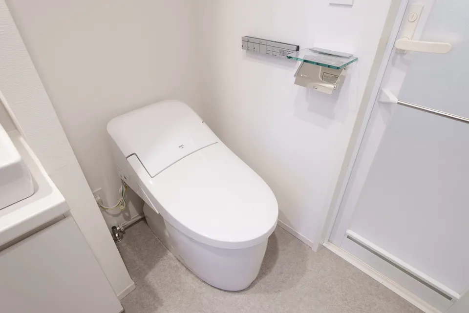 Hmlet Gakugei Daigaku - Interior - ["Toilet seat", "Plumbing fixture", "Toilet"]