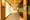 Maison Calme - Exterior - ["Yellow", "Orange", "Building"] thumbnail